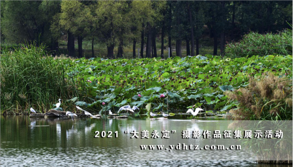首批征集文章亮相 2021一路发现“大美永定” 首批征集文章亮相 2021一路发现“大美永定”