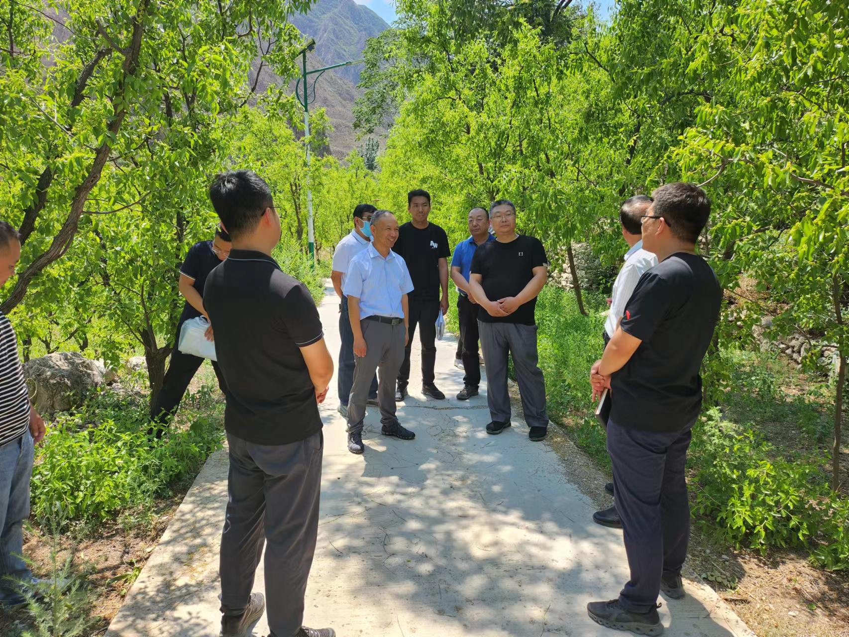 公司重要辅导一行赴J9集团山峡段调研