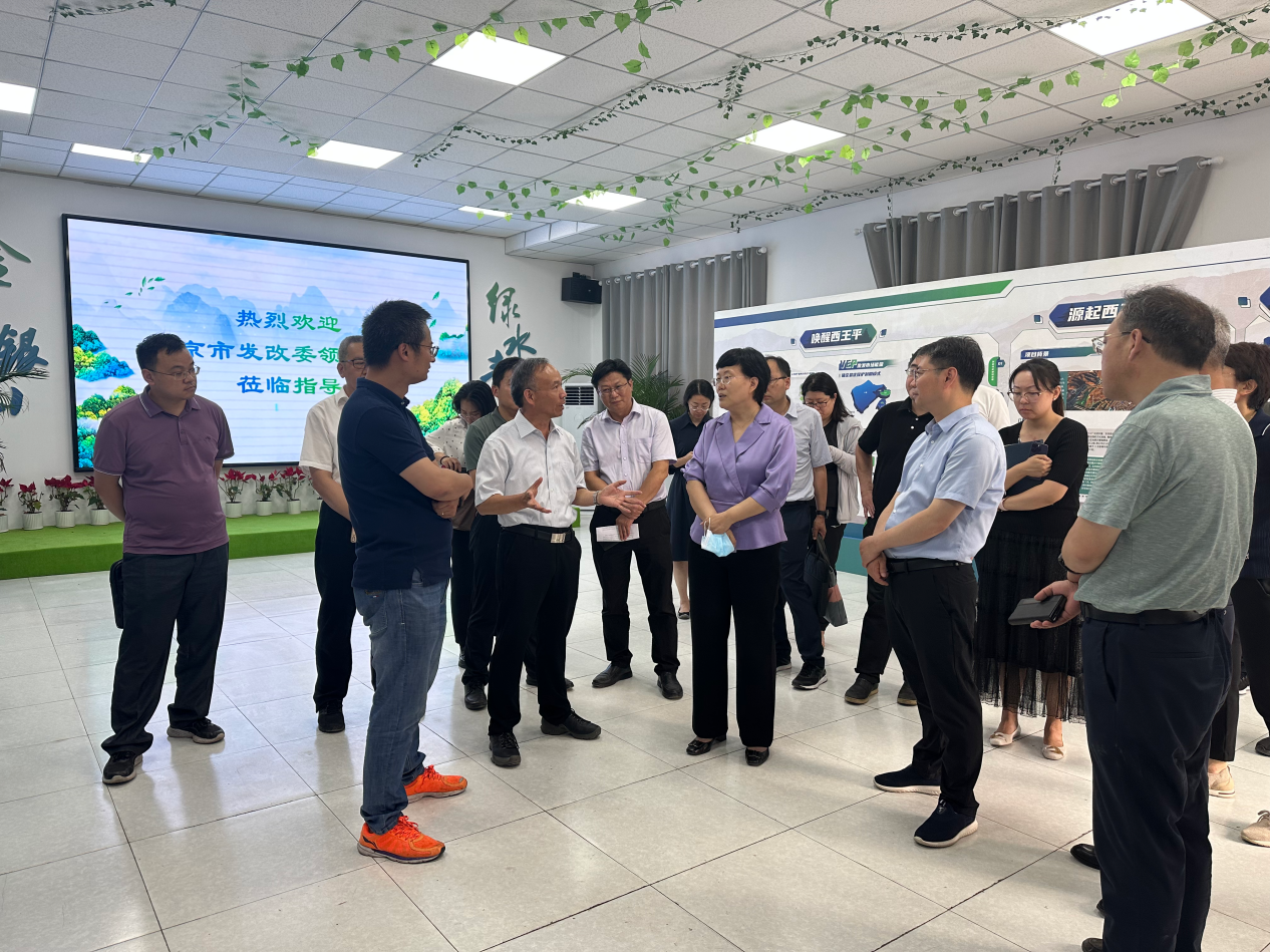 北京市发展鼎新委主任杨秀玲调研京西古路沉浸式生态幼镇项目 北京市发展鼎新委主任杨秀玲调研京西古路沉浸式生态幼镇项目